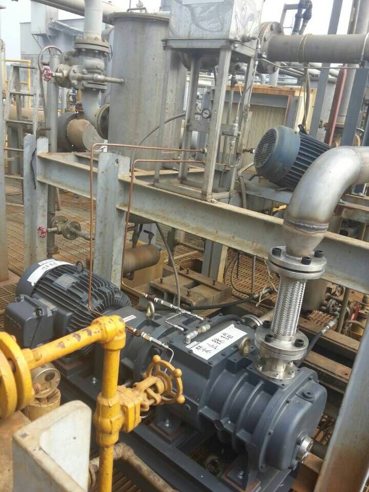 境外某化工厂应用我公司锐昇干式螺杆真空泵生产石化产品